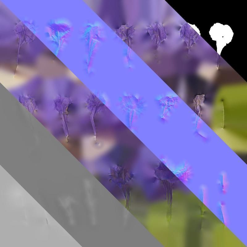 Anydrafts Ruellia simplex Flower 02 Texture_8