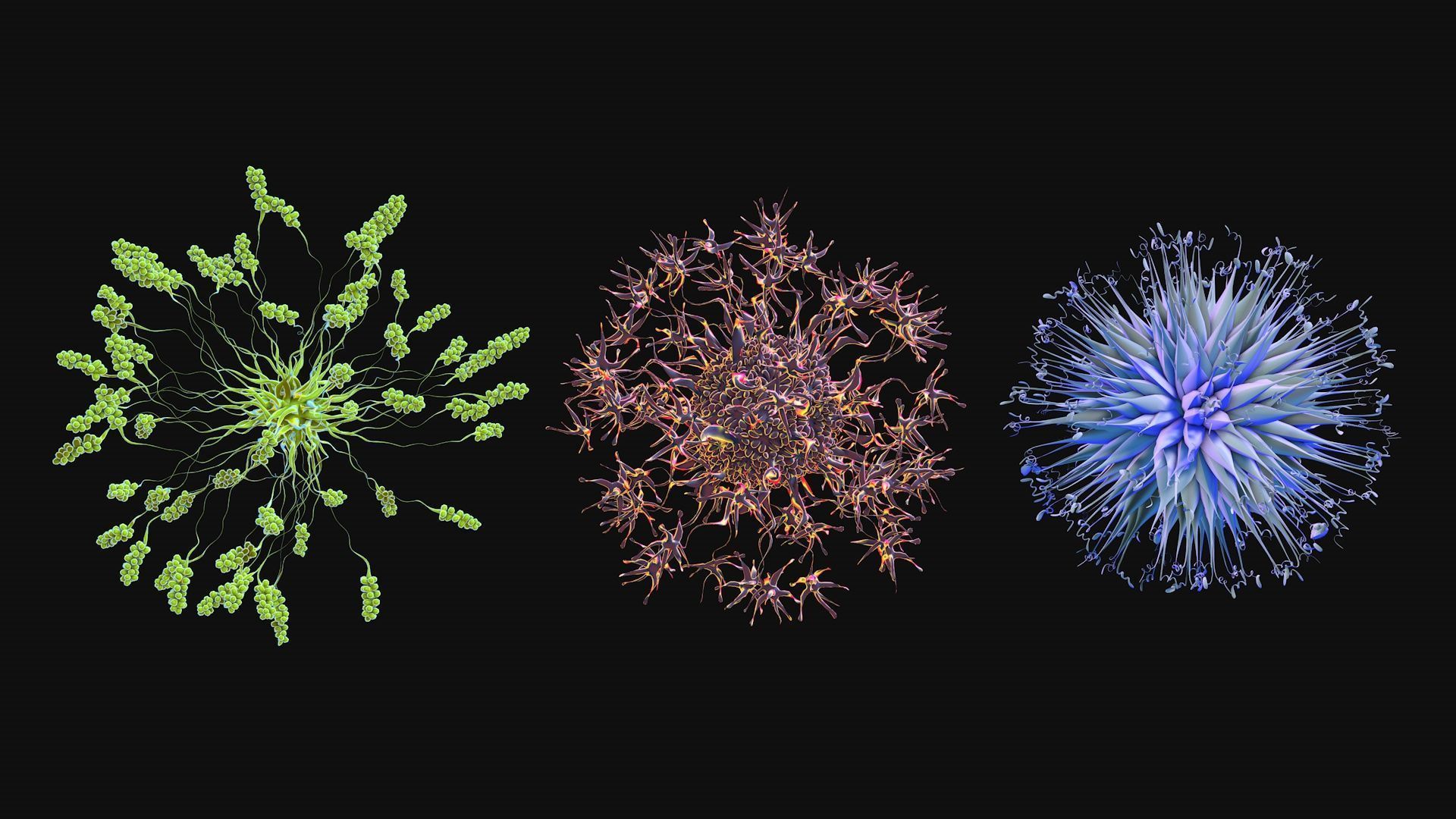 Set of viruses 3D model_2