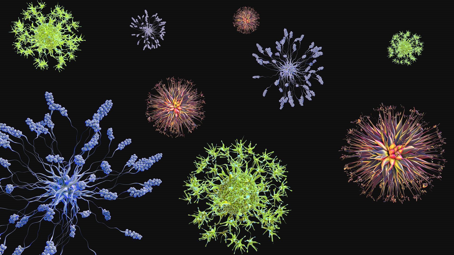 Set of viruses 3D model_3