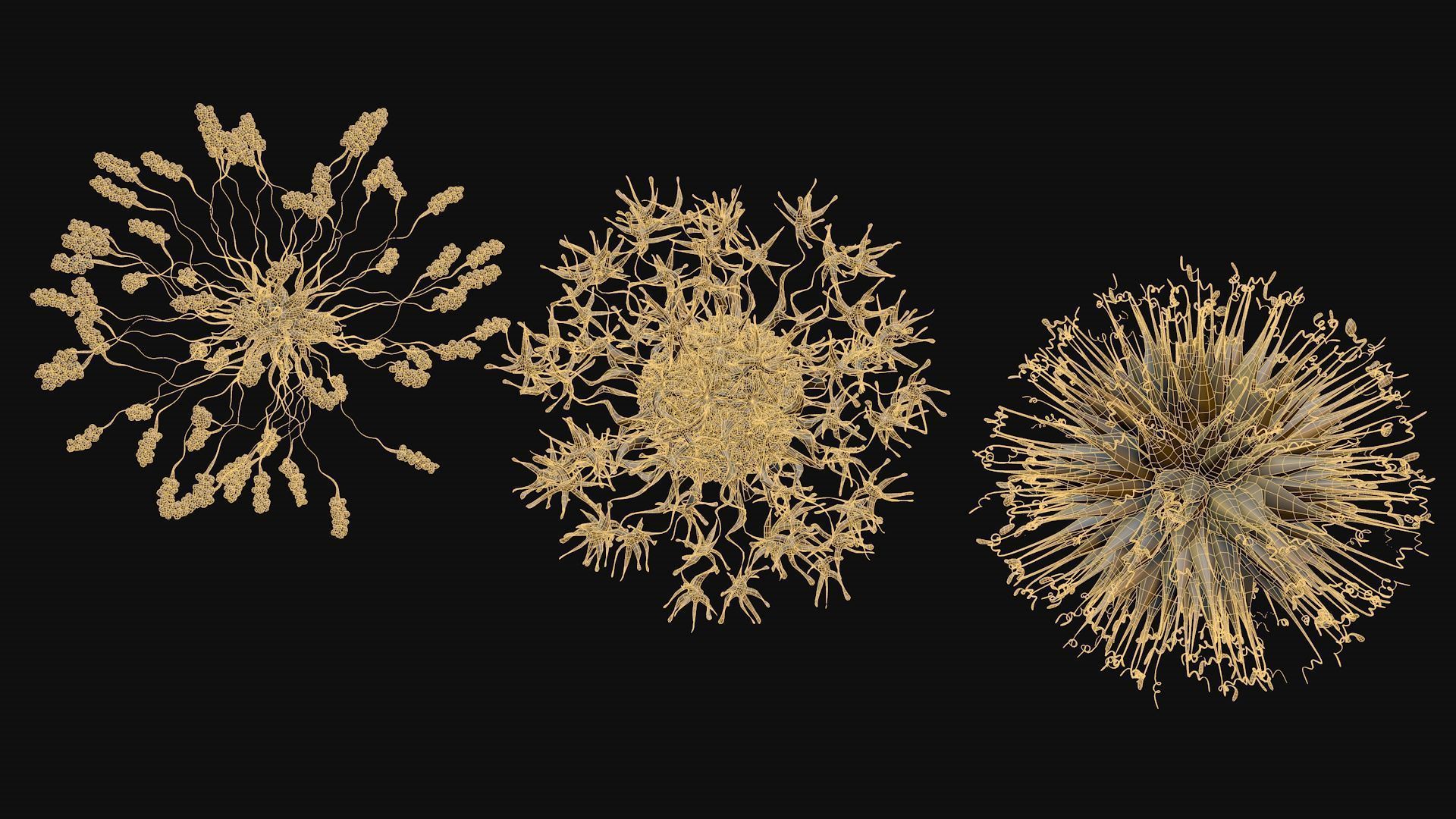 Set of viruses 3D model_6