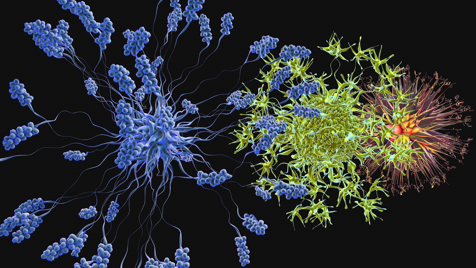 Set of viruses 3D model_4