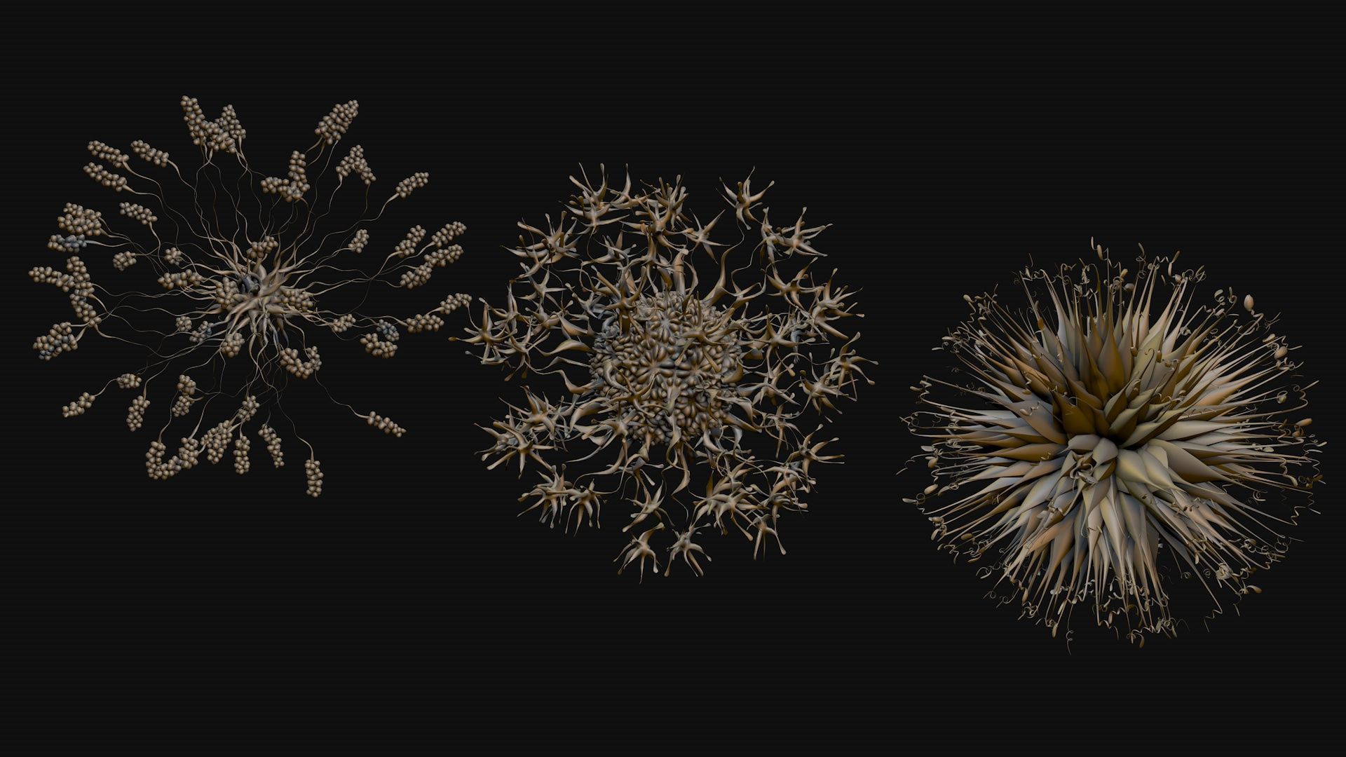 Set of viruses 3D model_5