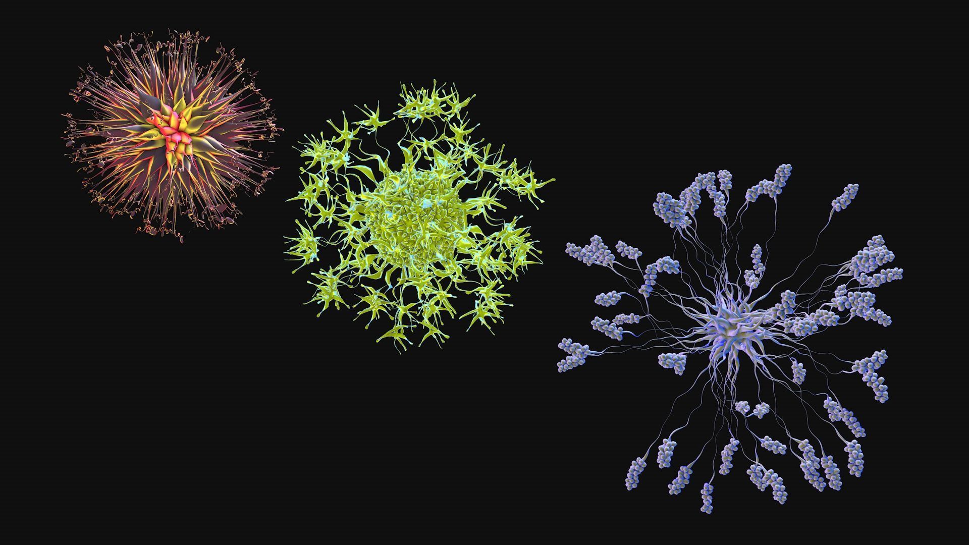 Set of viruses 3D model_1