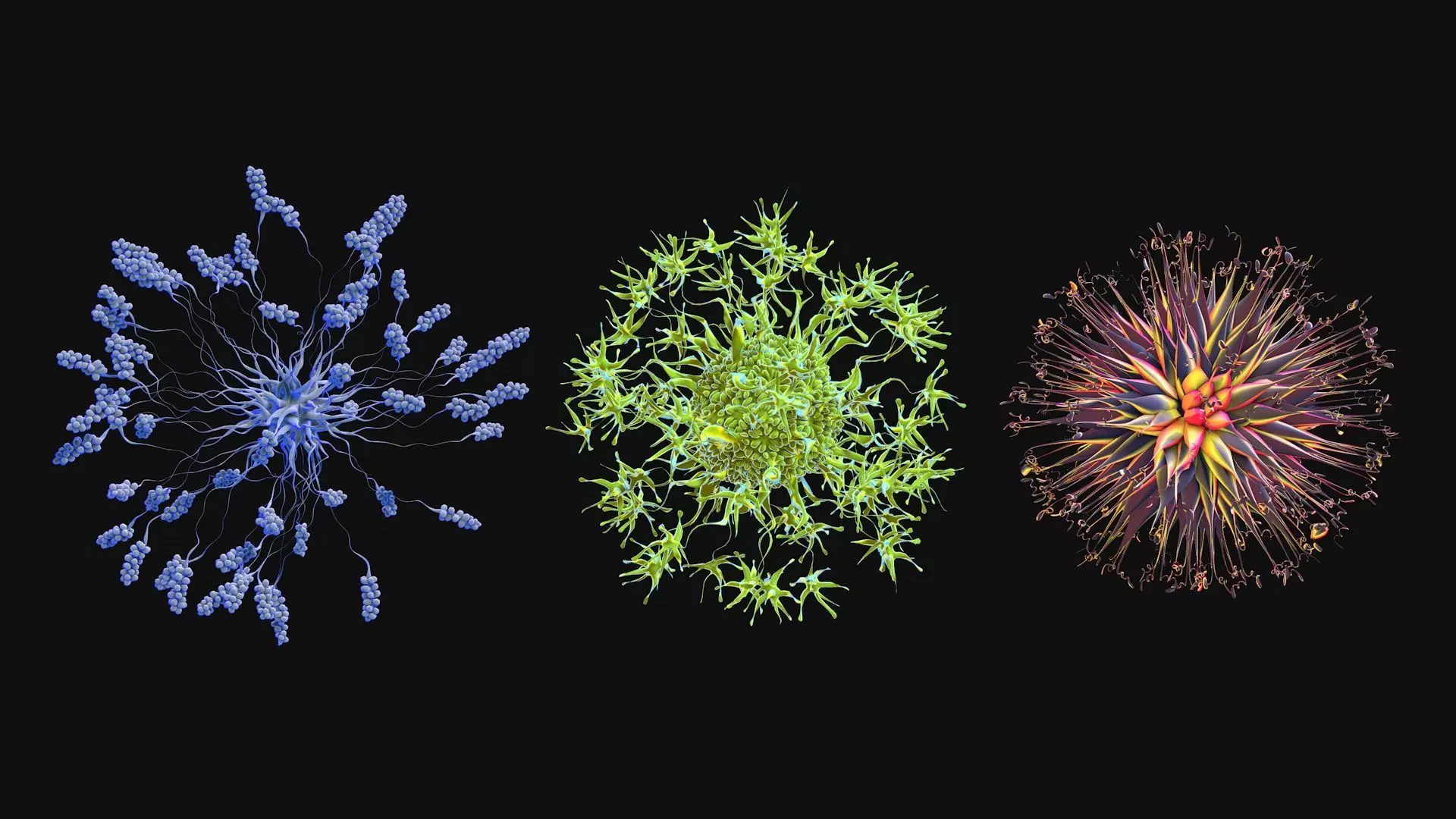 Set of viruses 3D model_0