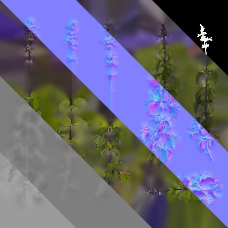 Anydrafts Salvia 02 Atlas 01 Texture_8