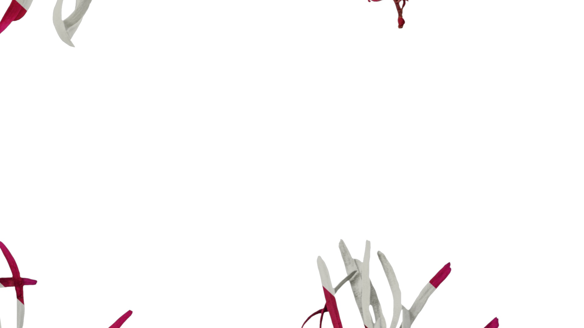 Anydrafts Loropetalum chinense Flower 02 Texture_6