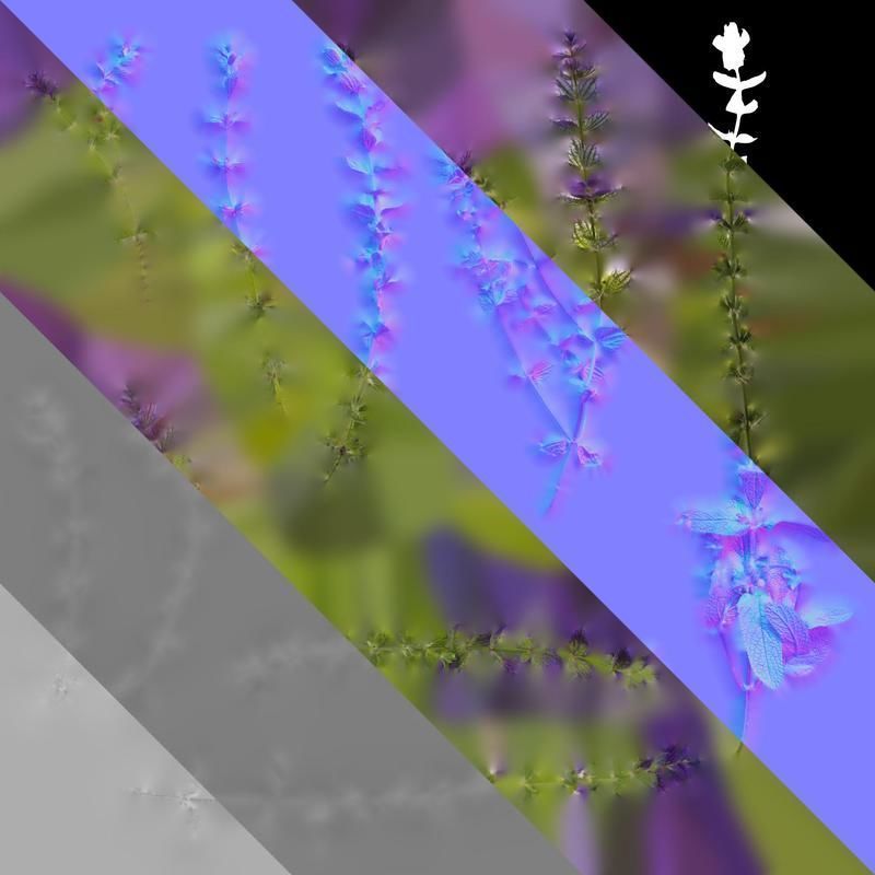 Anydrafts Salvia 03 Atlas 01 Texture_8