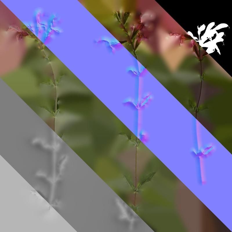 Anydrafts Salvia 04 Atlas 01 Texture_8