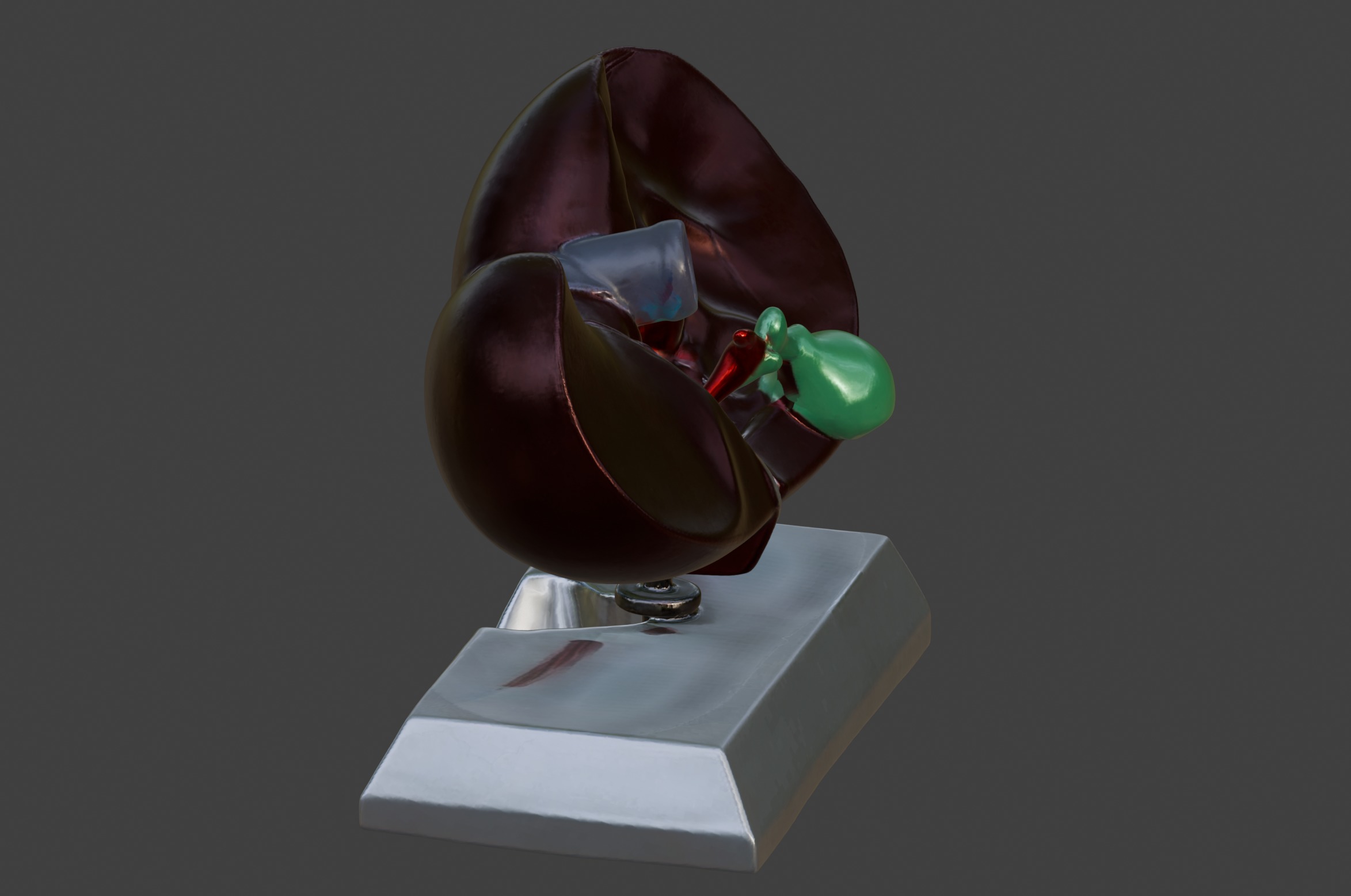 3D Model of Human Liver Anatomy v3 3D print model_9