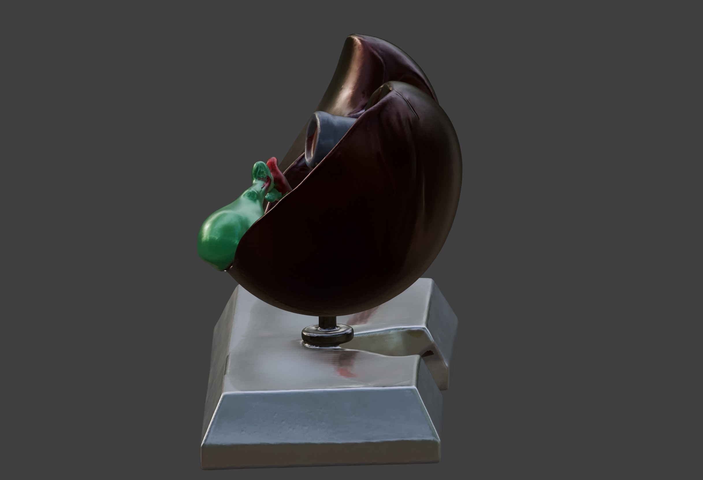 3D Model of Human Liver Anatomy v3 3D print model_5