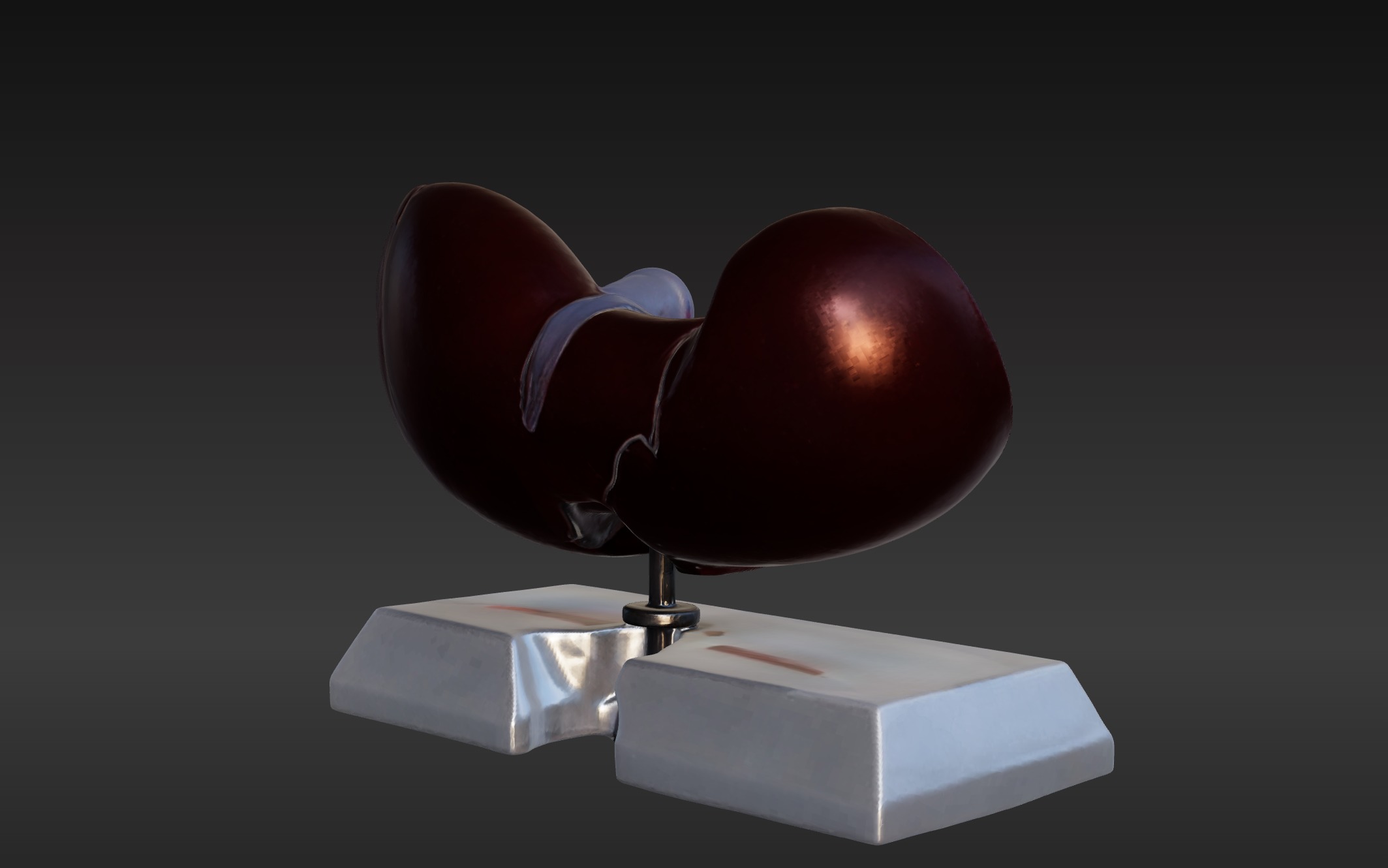 3D Model of Human Liver Anatomy v3 3D print model_1