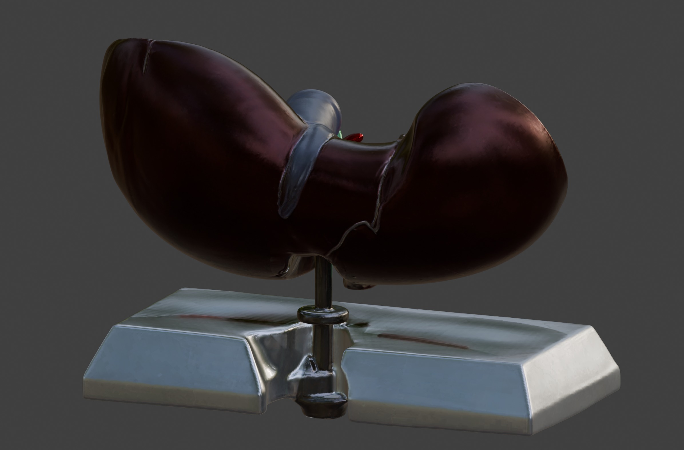 3D Model of Human Liver Anatomy v3 3D print model_7