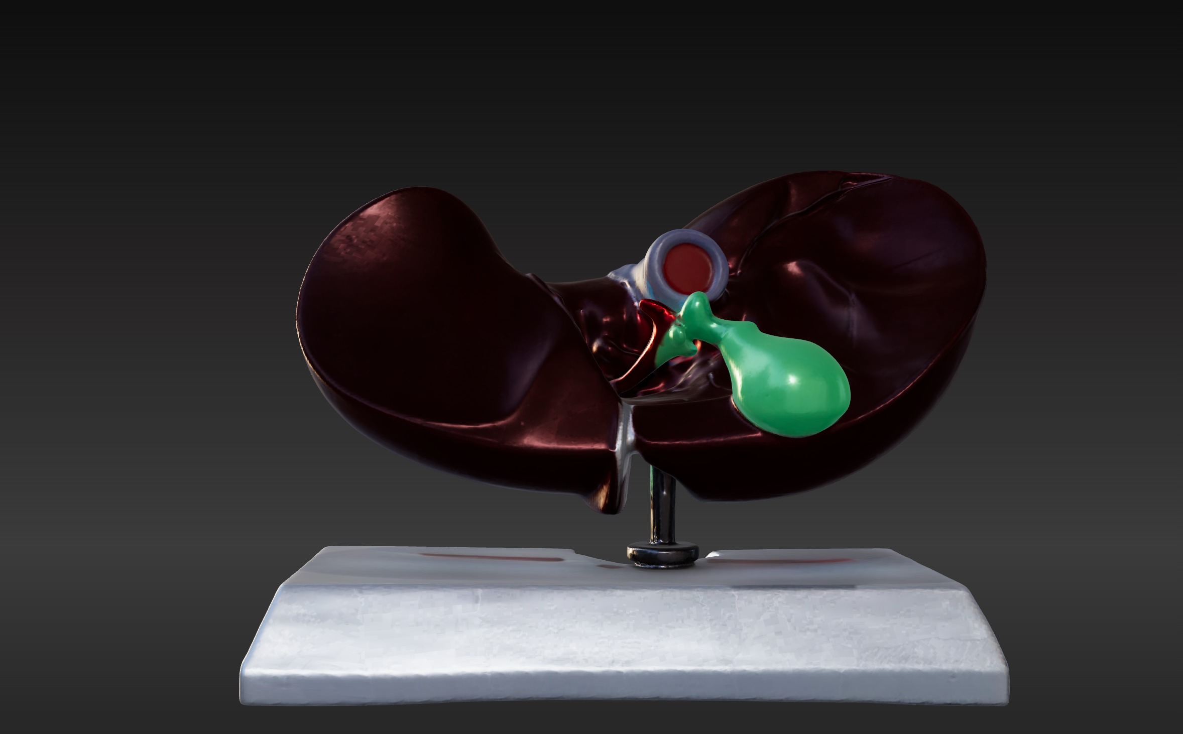 3D Model of Human Liver Anatomy v3 3D print model_3