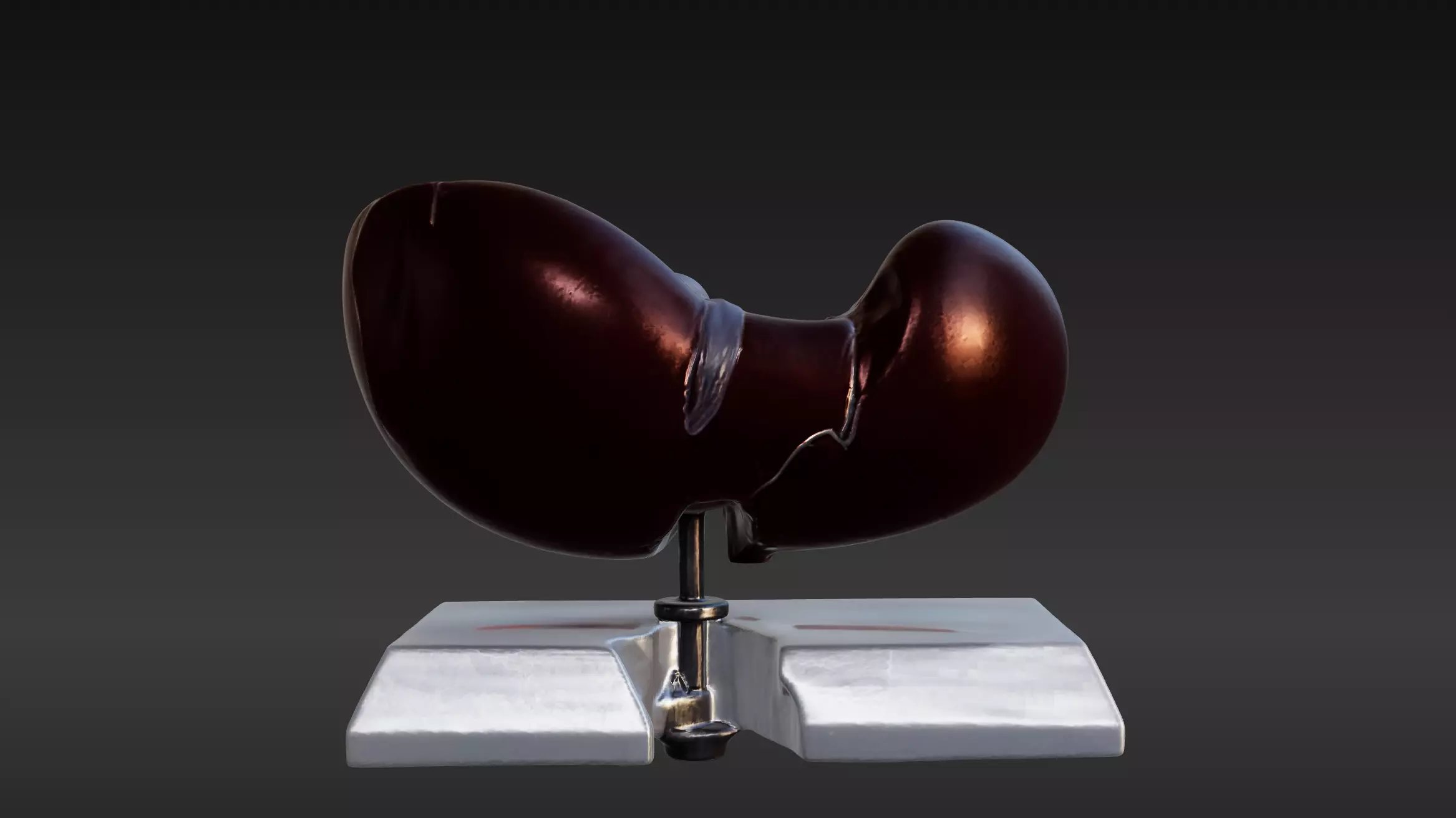 3D Model of Human Liver Anatomy v3 3D print model_0