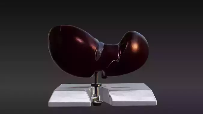 3D Model of Human Liver Anatomy v3 3D print model