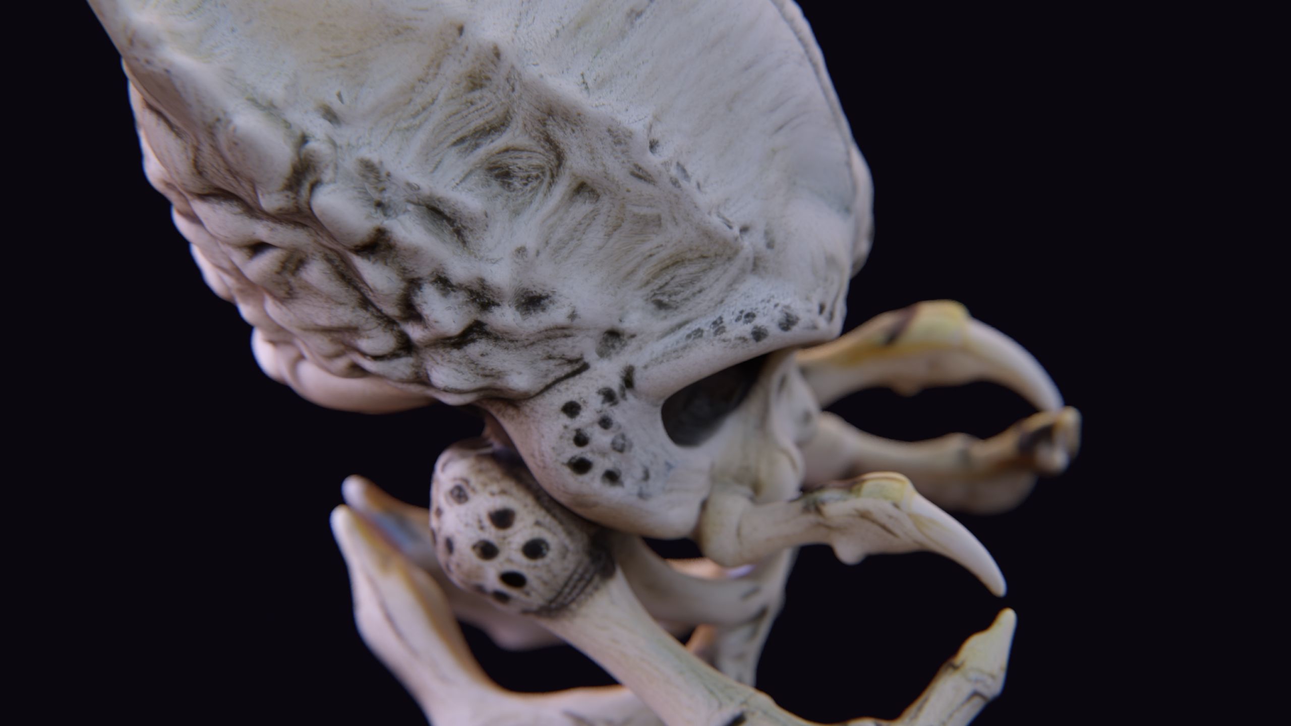 Alien Skull Artifact 3D model_9