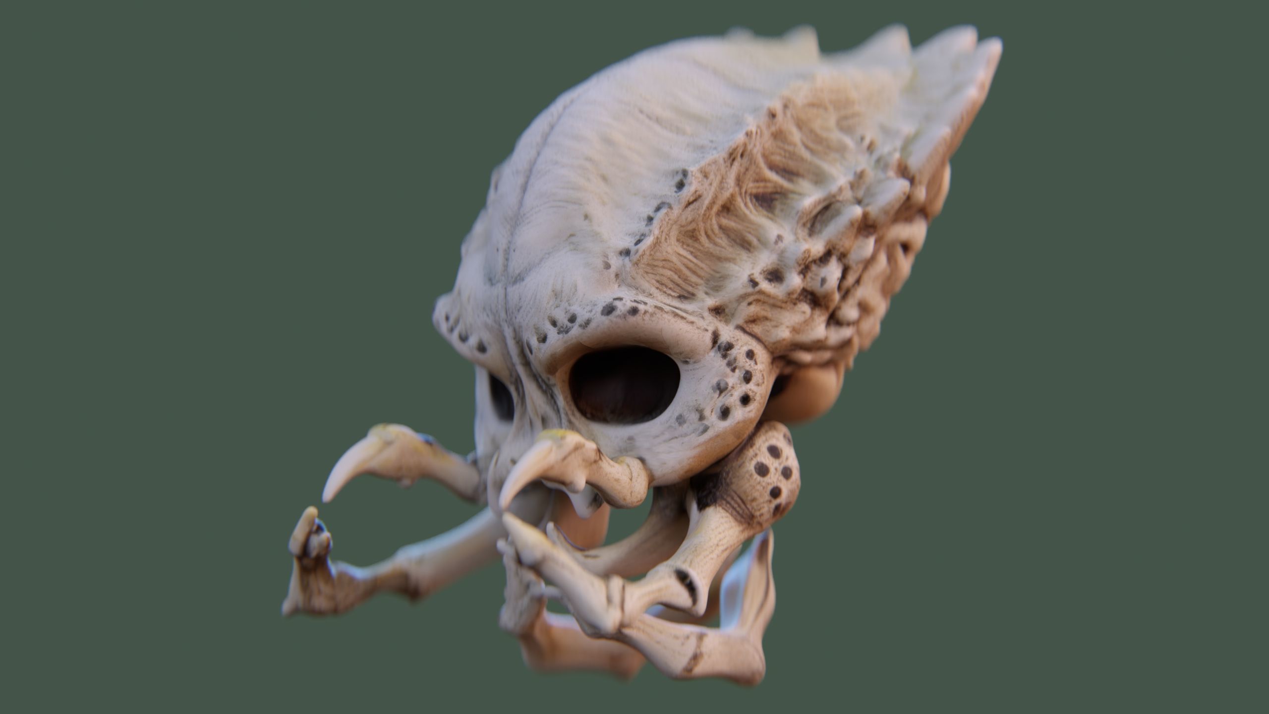 Alien Skull Artifact 3D model_4