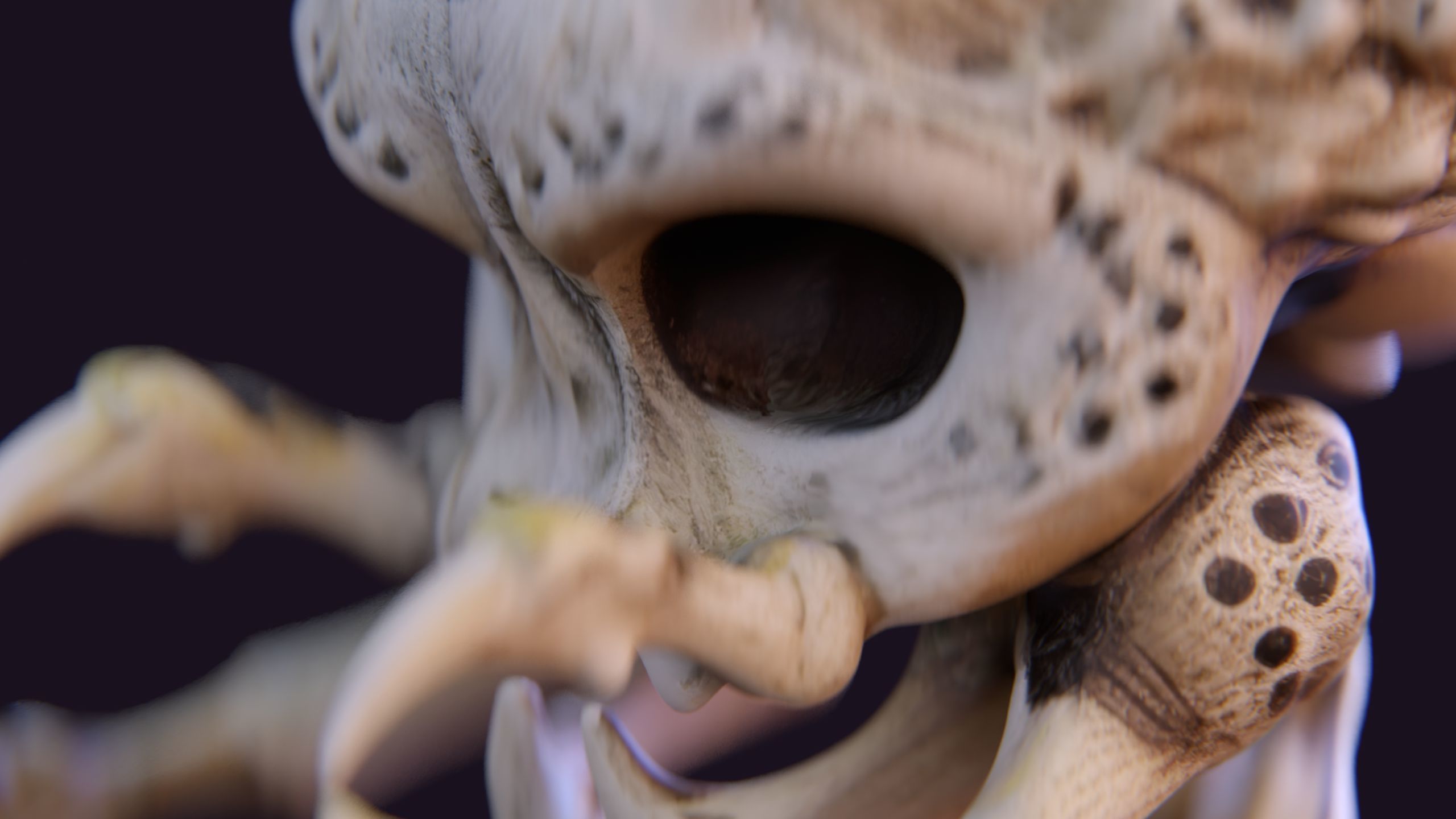 Alien Skull Artifact 3D model_7