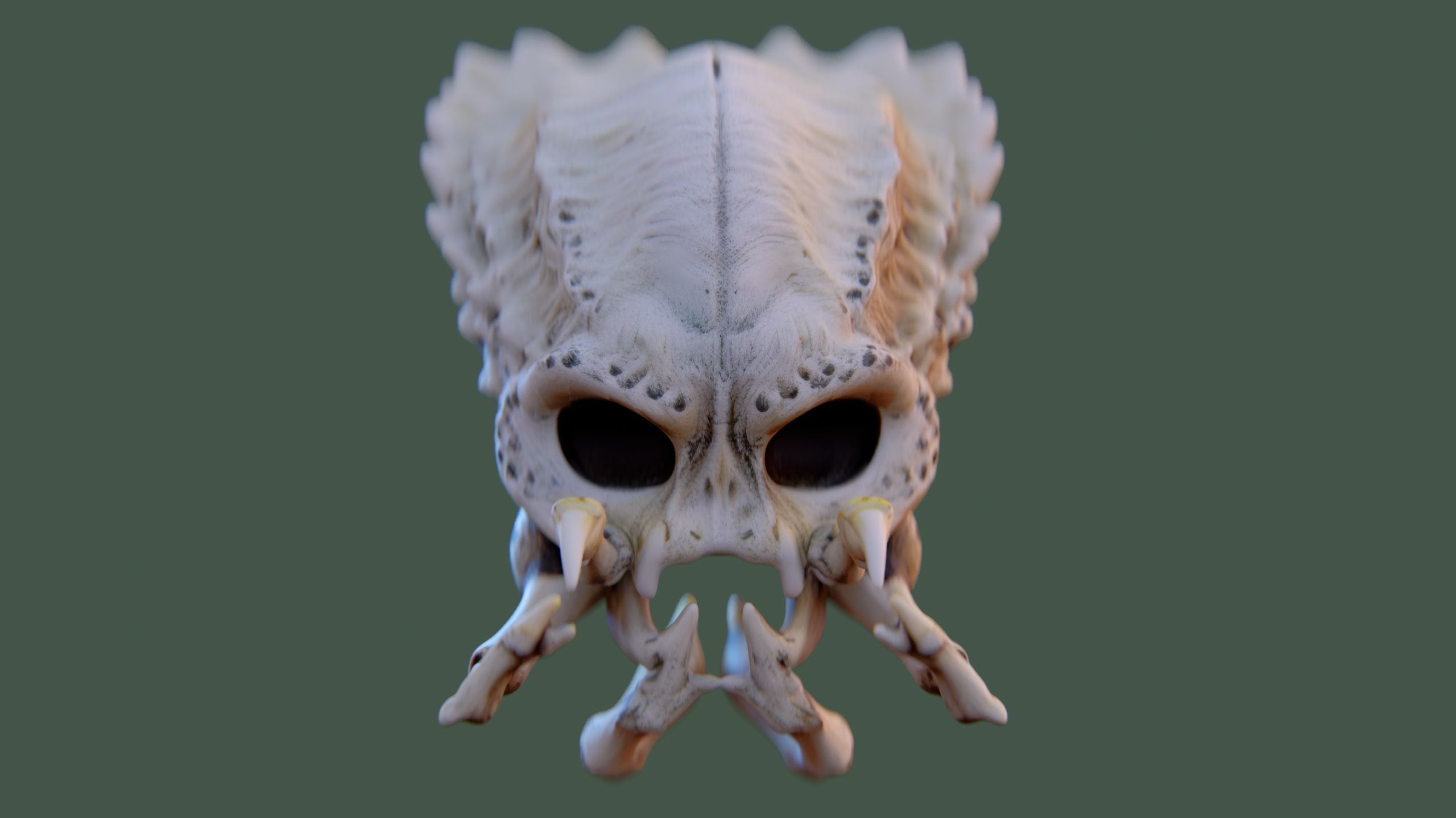Alien Skull Artifact 3D model_3