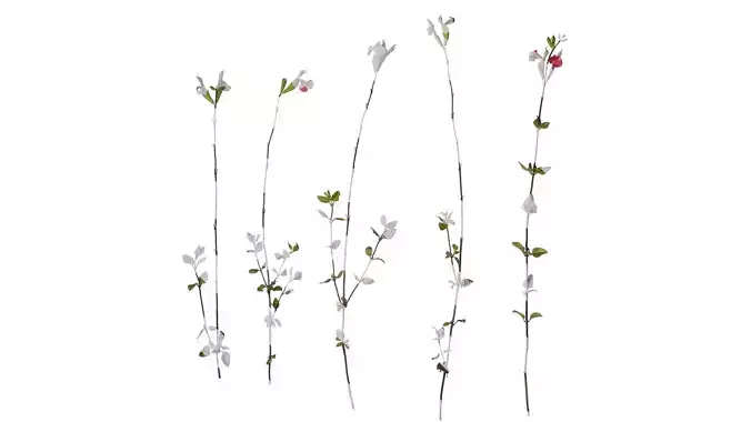 Anydrafts Salvia 08 Atlas 04