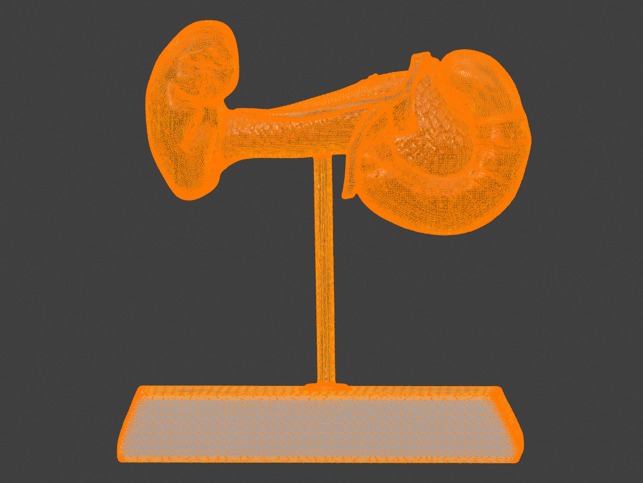 3D Spleen Pancreas and Duodenum Anatomy Model 3D print model_10