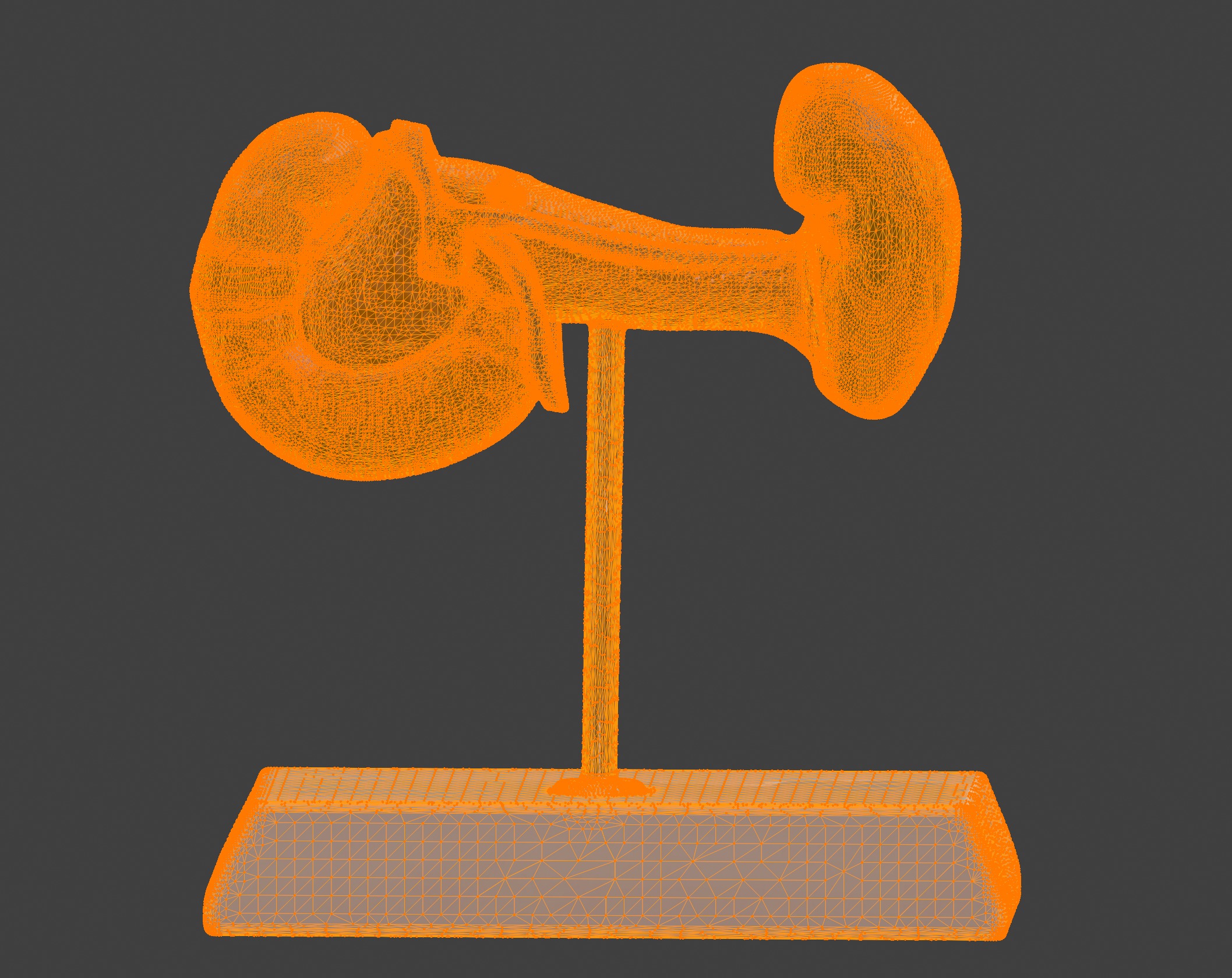 3D Spleen Pancreas and Duodenum Anatomy Model 3D print model_13