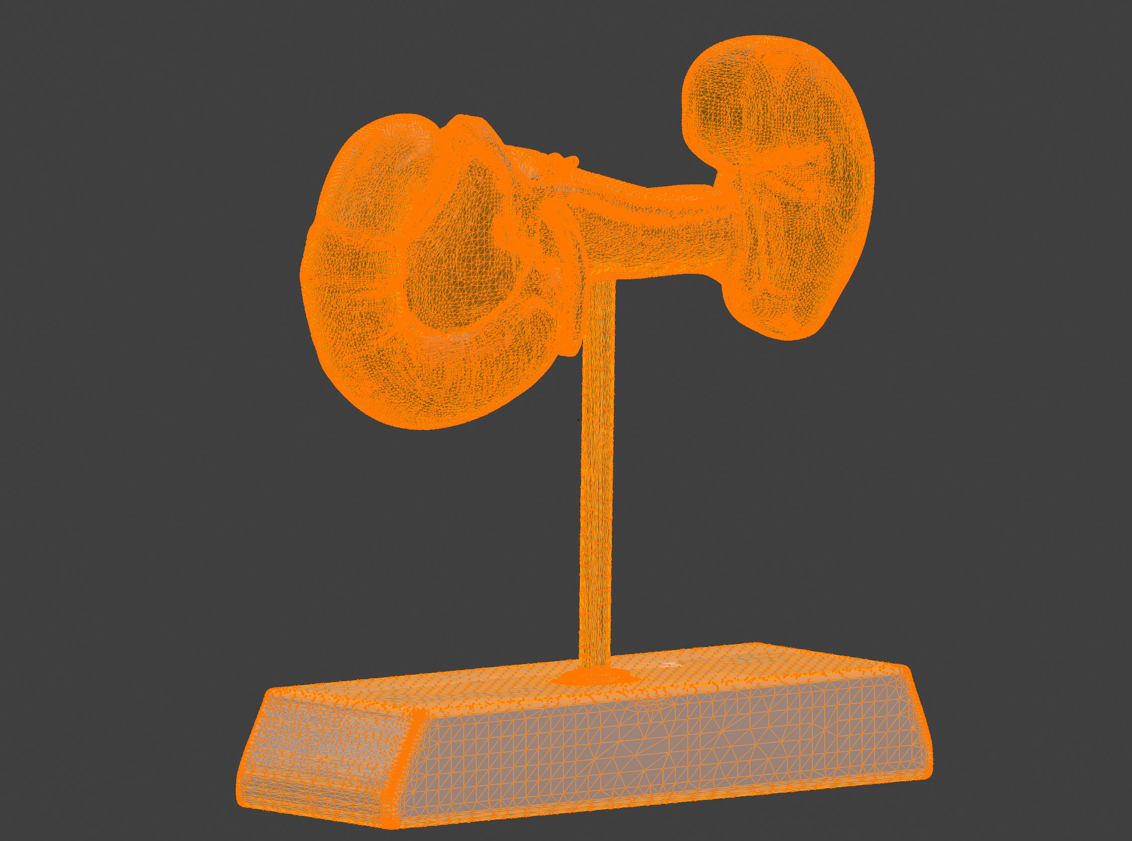 3D Spleen Pancreas and Duodenum Anatomy Model 3D print model_12