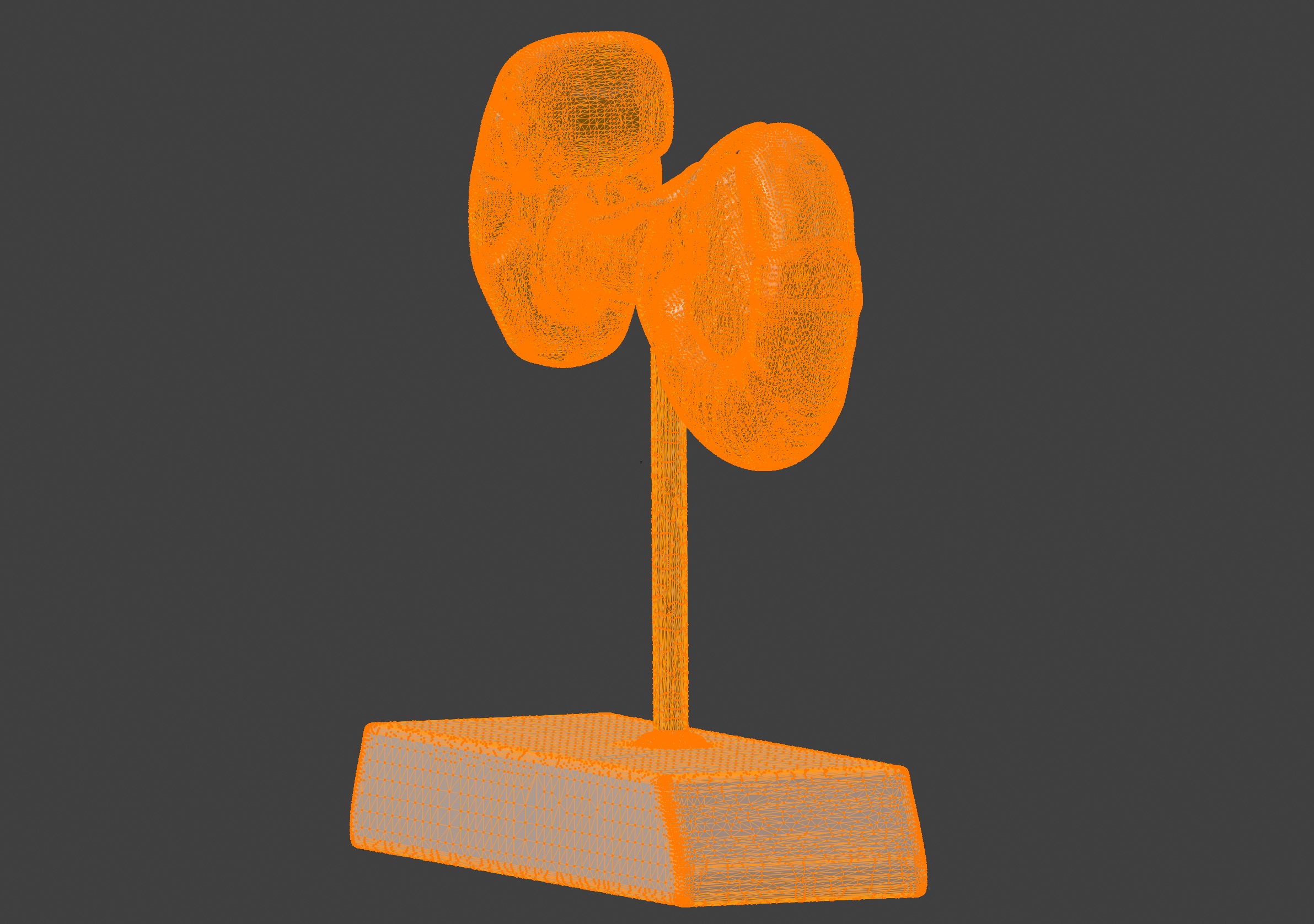 3D Spleen Pancreas and Duodenum Anatomy Model 3D print model_11