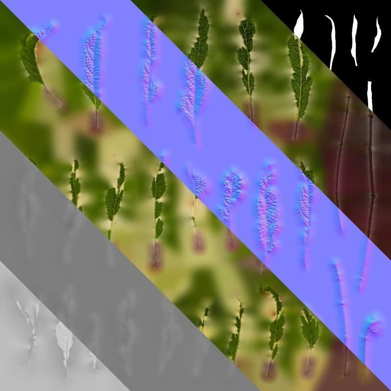 Anydrafts Salvia 09 Leaf 01 Texture_8