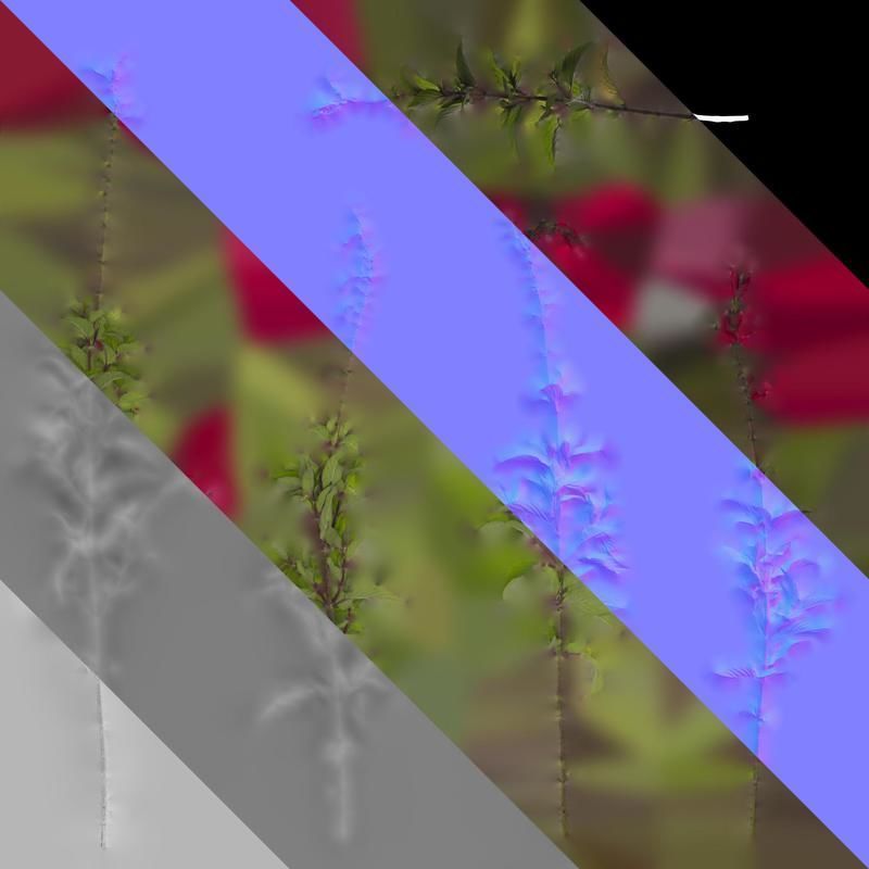 Anydrafts Salvia coccinea Atlas 01 Texture_8