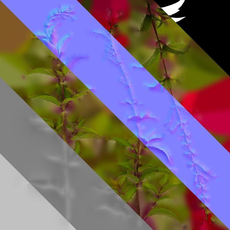 Anydrafts Salvia coccinea Atlas 02 Texture_8