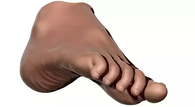 Female Foot - Printable - Scan Based