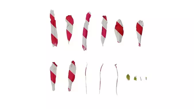 Anydrafts Salvia coccinea Flower 03