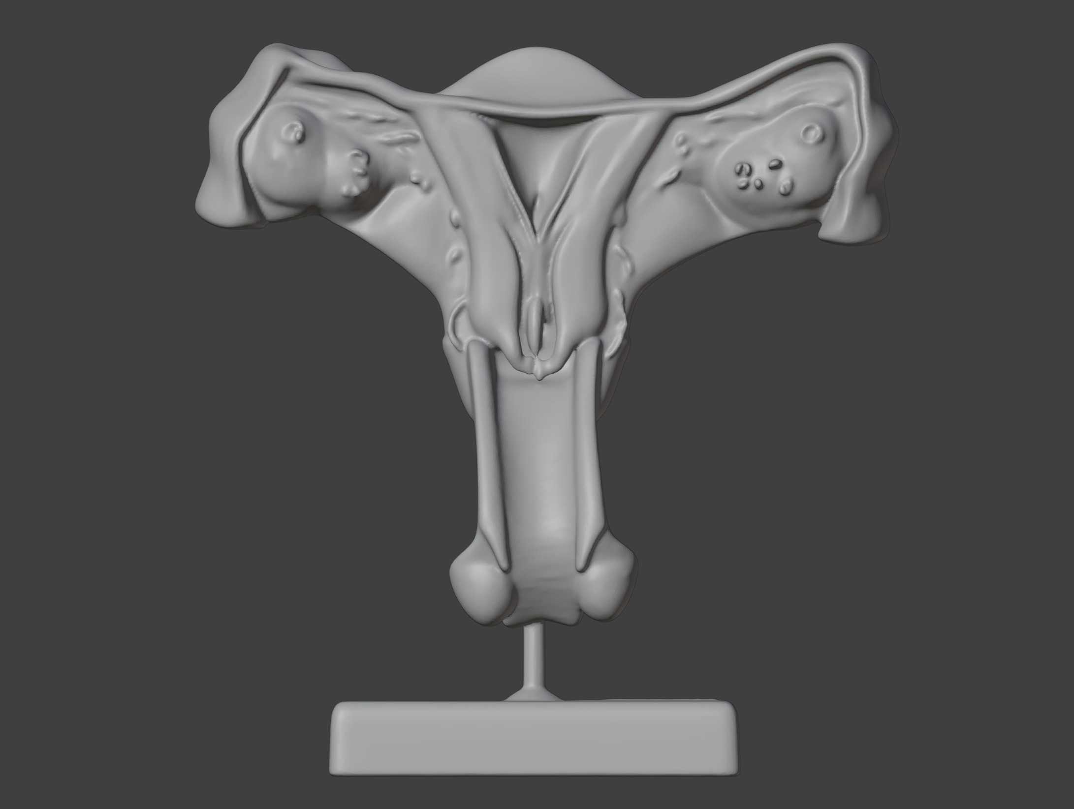 3D Female Genital Organs Model 3D print model_13
