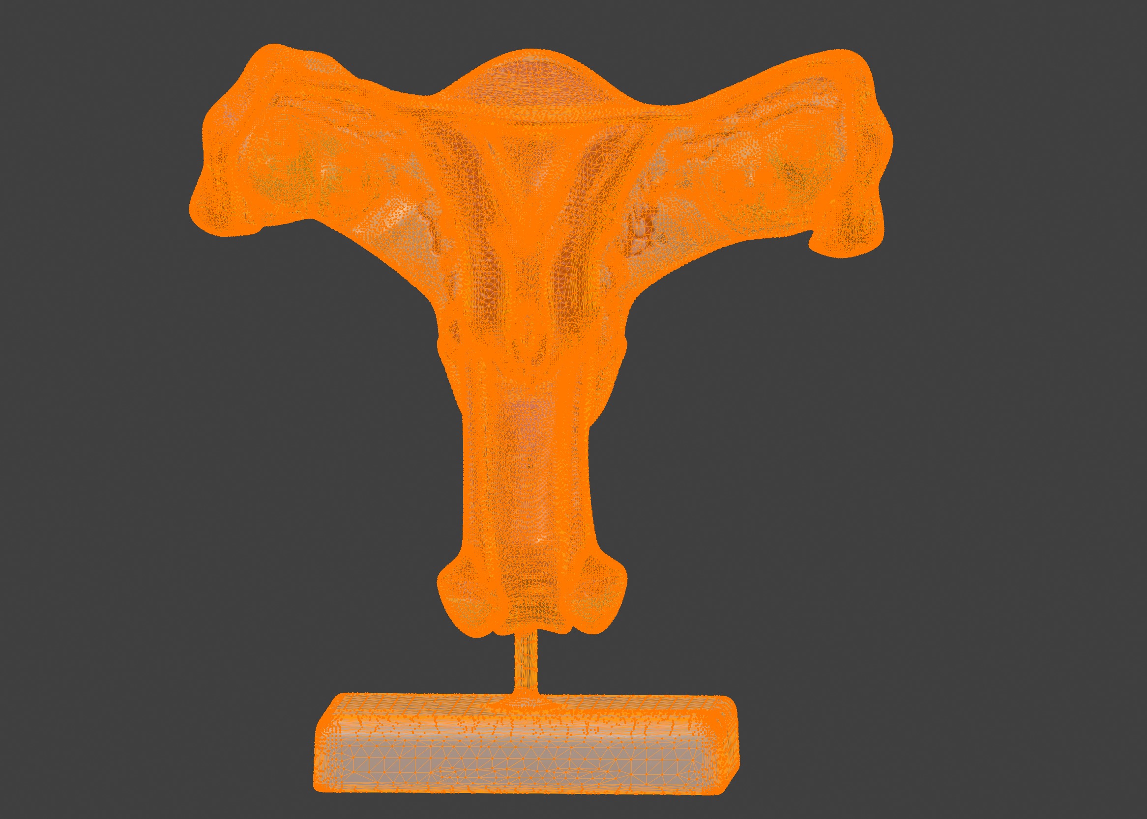 3D Female Genital Organs Model 3D print model_16