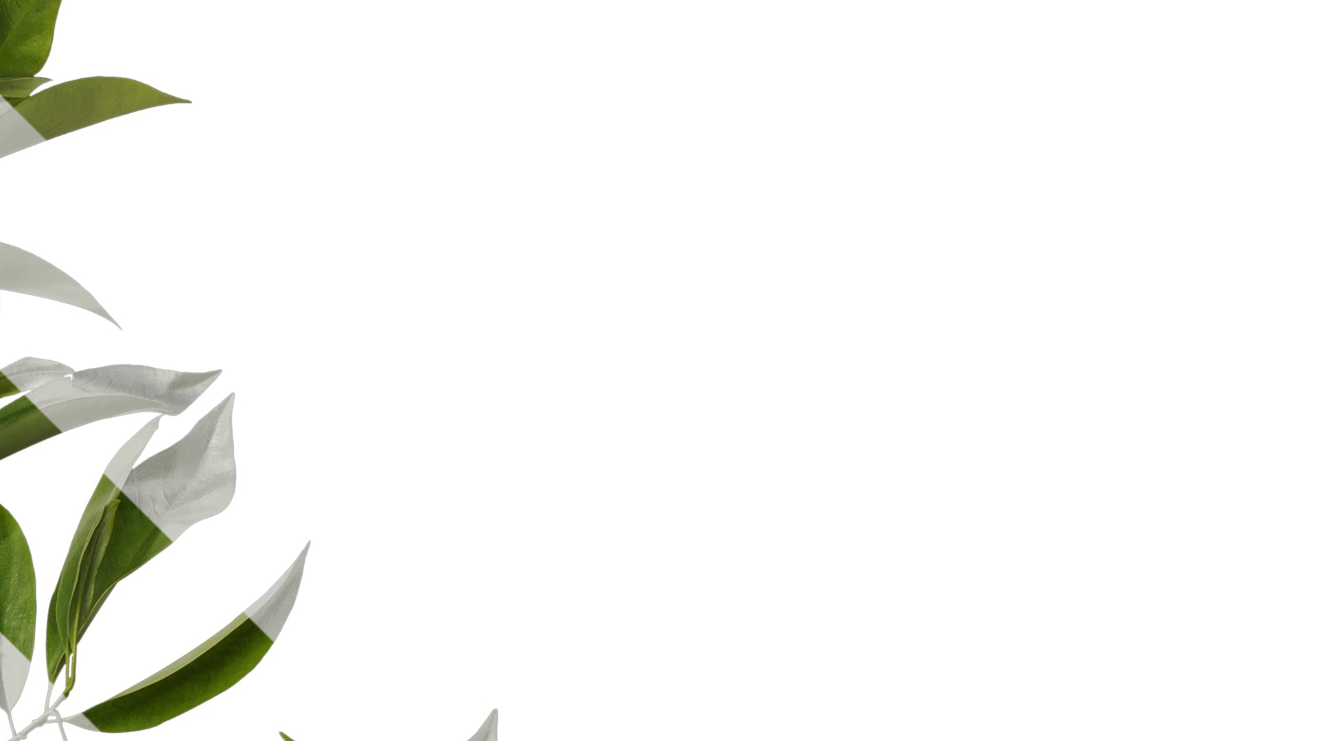 Anydrafts Magnolia figo Atlas 08 Texture_2