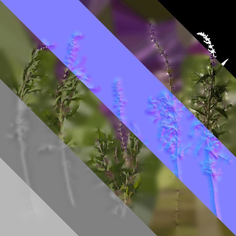Anydrafts Salvia leucantha Atlas 06 Texture_8