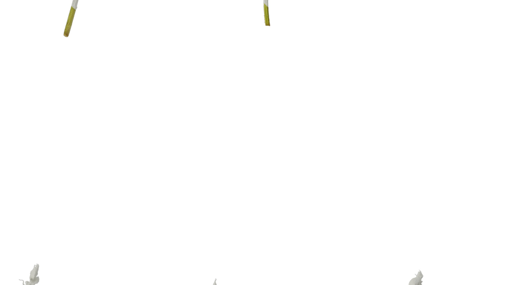 Anydrafts Salvia leucantha danielles Flower 02 Texture_7