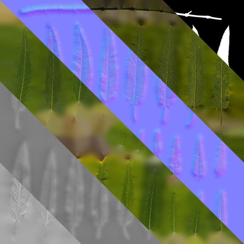 Anydrafts Salvia leucantha danielles Leaf 01 Texture_8