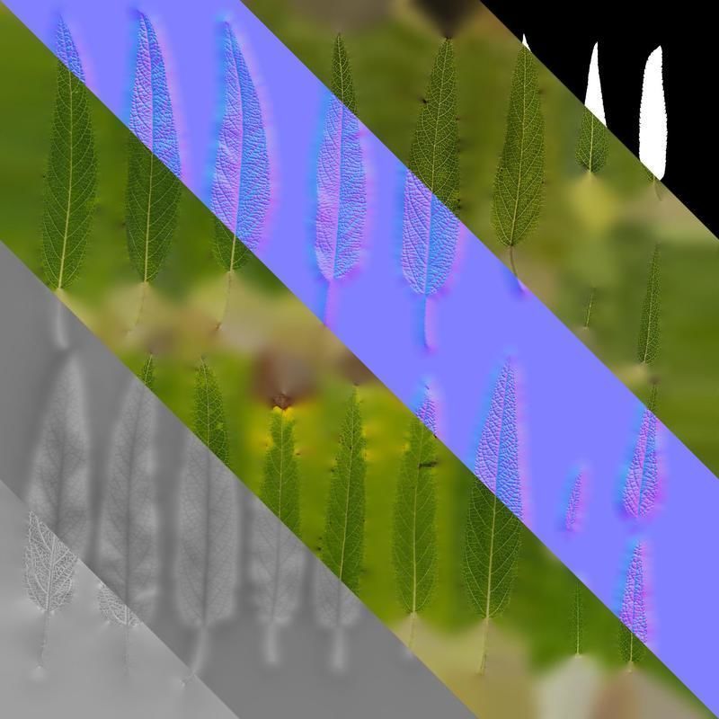 Anydrafts Salvia leucantha danielles Leaf 02 Texture_8