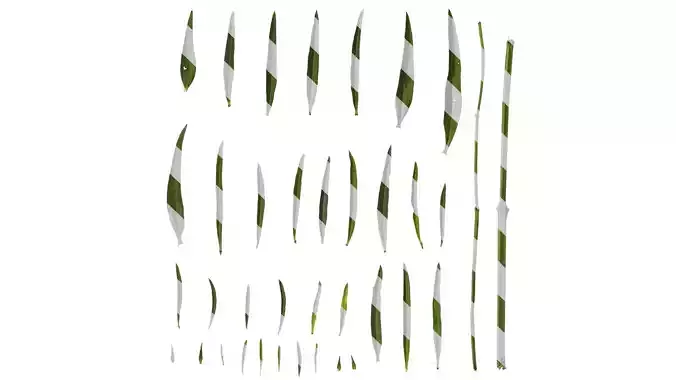 Anydrafts Salvia uliginosa Leaf 01