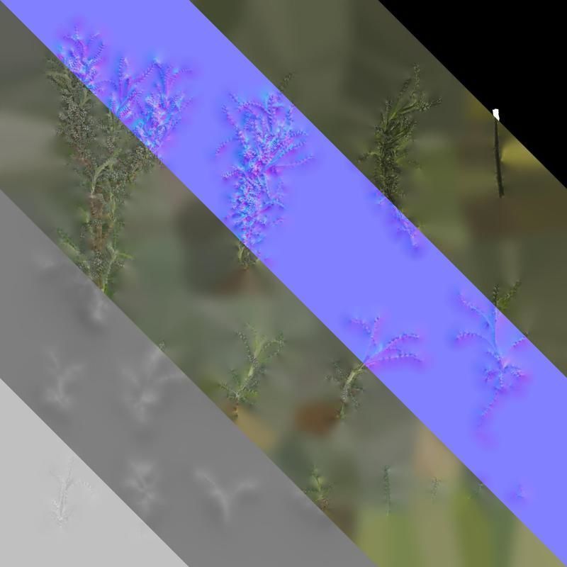 Anydrafts Santolina chamaecyparissus Atlas 01 Texture_8