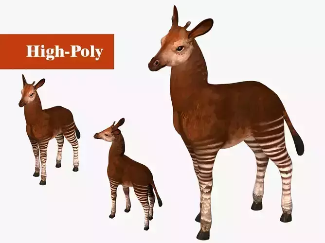 Okapi  rig  high-poly  textured 3D model