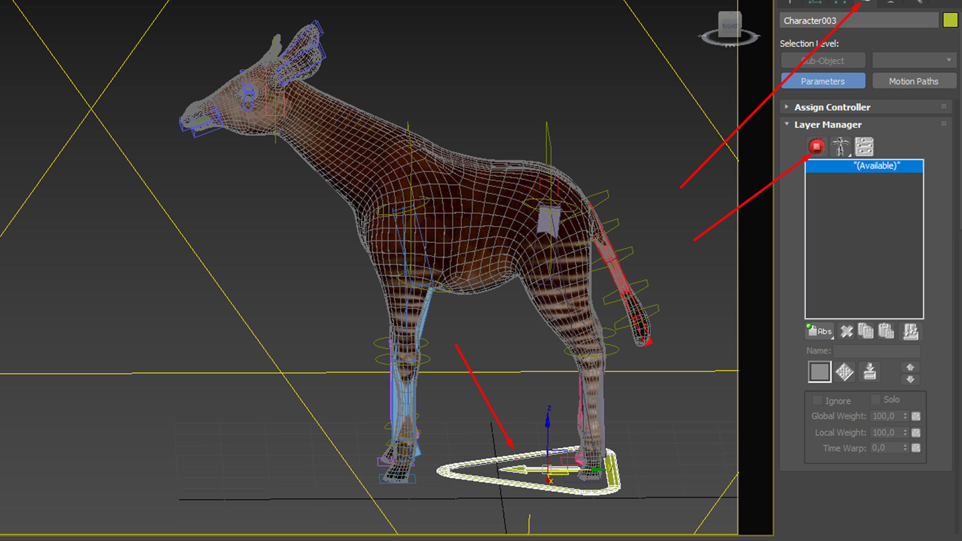 Okapi  rig  high-poly  textured 3D model_6