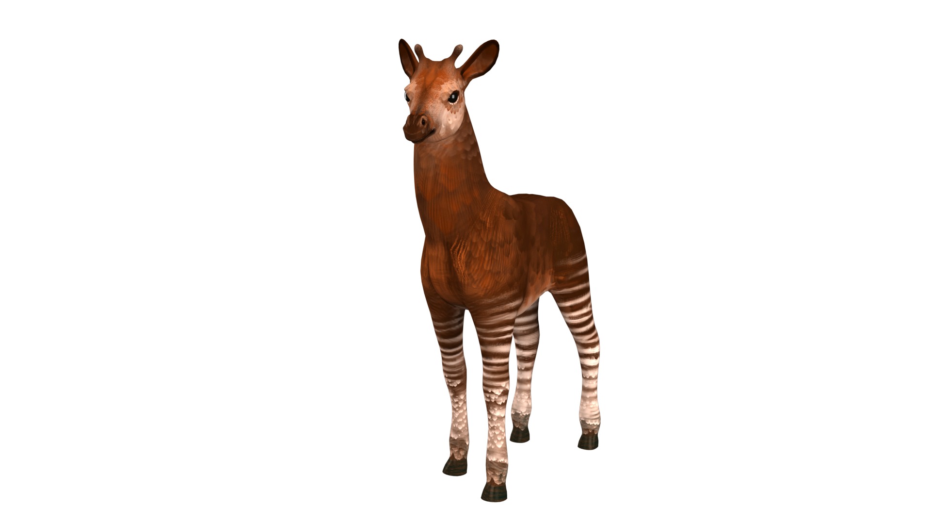 Okapi  rig  high-poly  textured 3D model_11