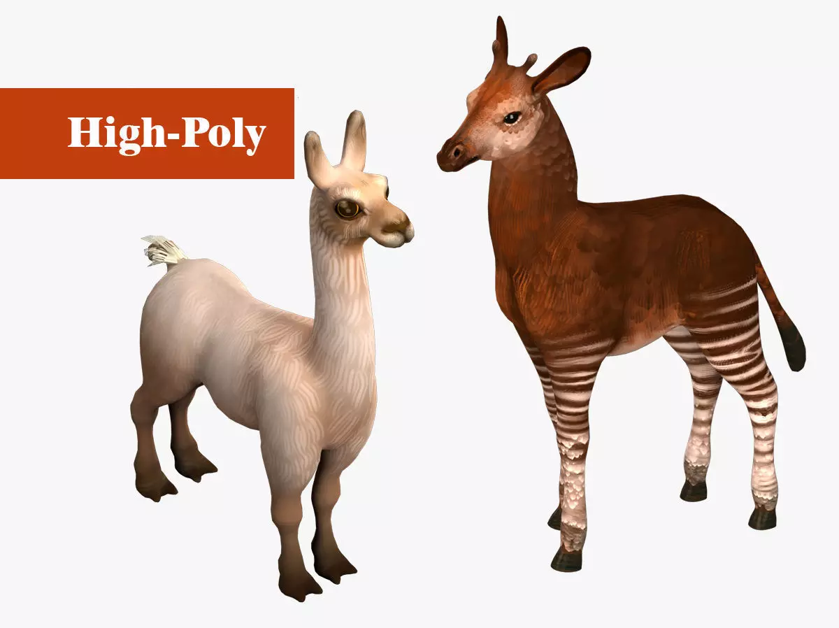 Okapi  alpaca with rig high-poly textured  3D Model Collection_0