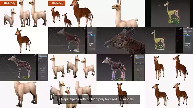 Okapi  alpaca with rig high-poly textured 