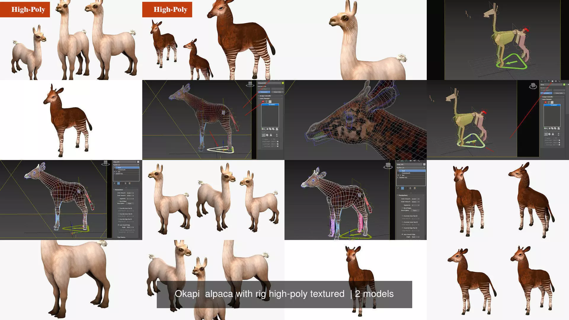 Okapi  alpaca with rig high-poly textured  3D Model Collection_1