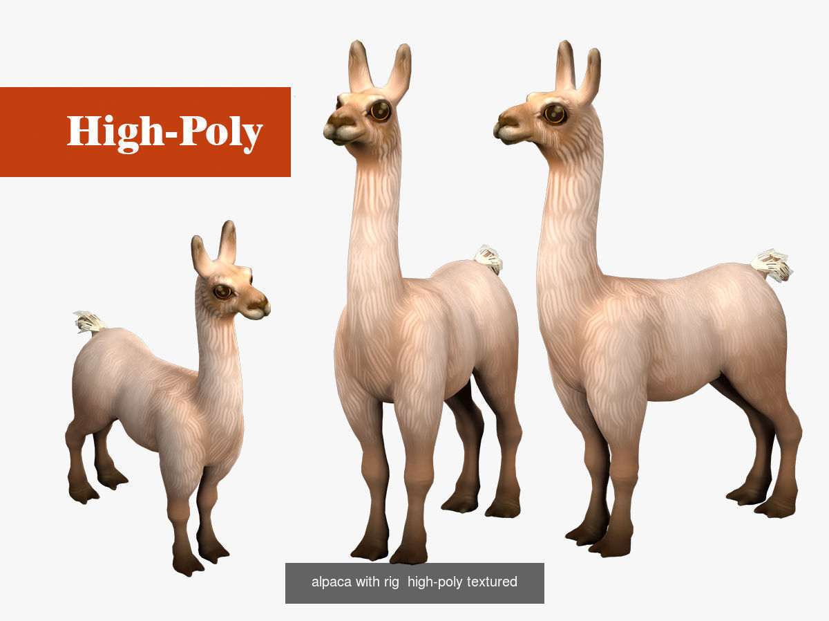 Okapi  alpaca with rig high-poly textured  3D Model Collection_2
