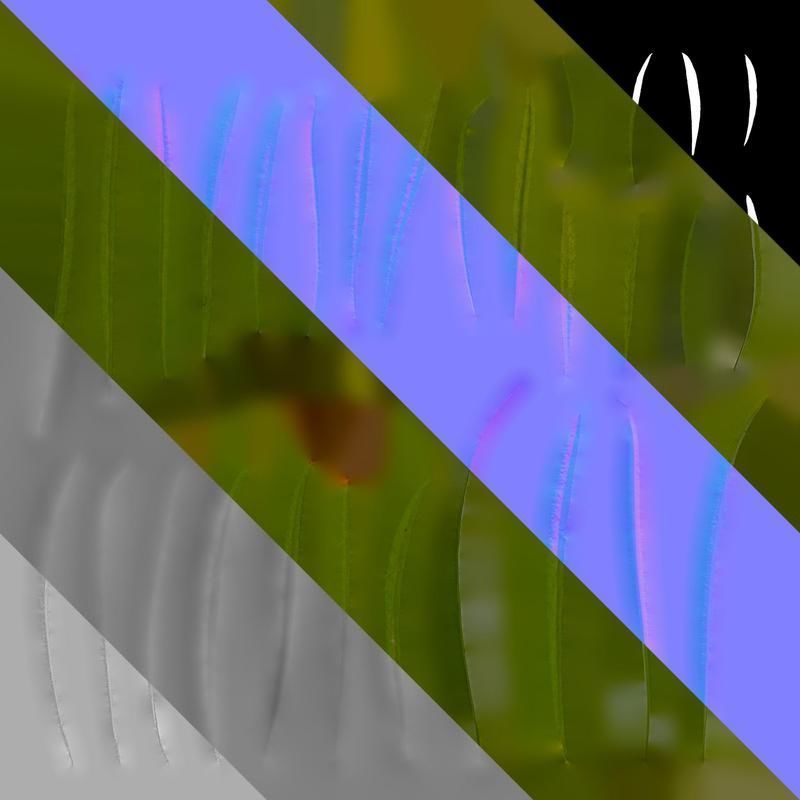 Anydrafts Sanvitalia procumbens Leaf 02 Texture_8